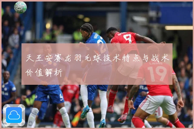 天王安赛龙羽毛球技术特点与战术价值解析