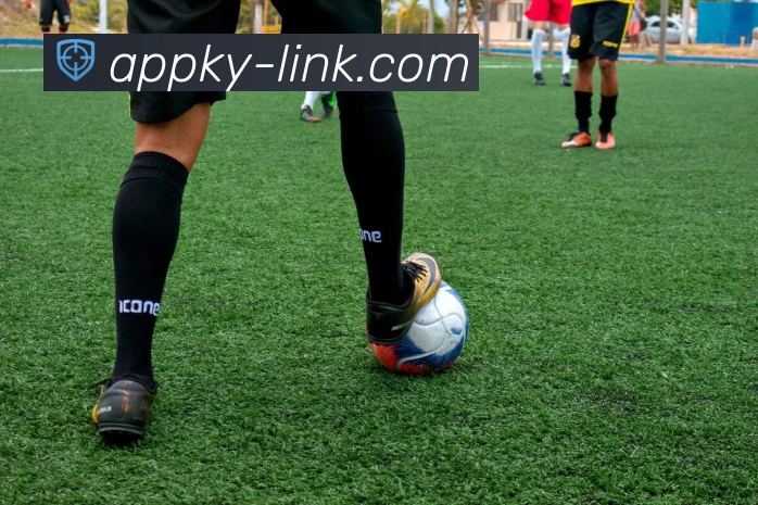 开云品牌官方网站入口及其购物指南全解析